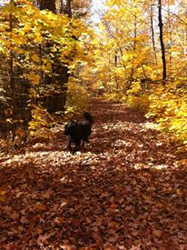 314368_10150868107845075_466213766_n[1]