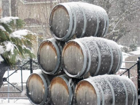 402920_10152179447196988_255833156_n[1]