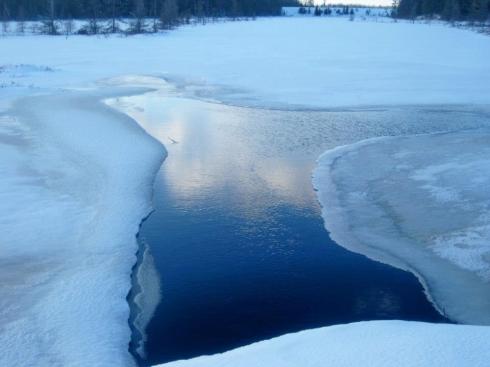 422184_10152082242176988_1742310872_n[1]