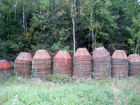 404640_10151931949361988_601859338_n[1]