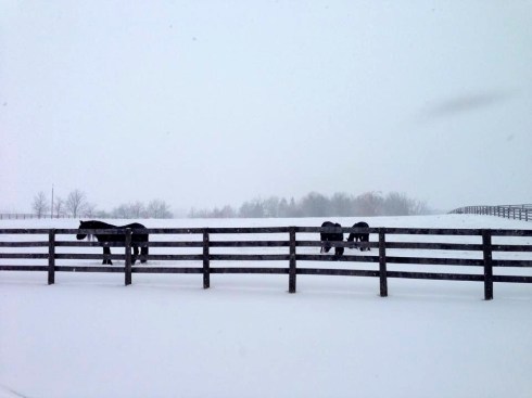 Photo by Christa Morrison