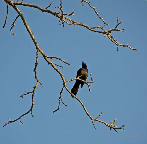 014c0fa1be0adbea8d7cb18a24013c0c