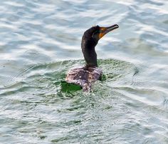 06fb7550daf12c2ce4ba0ea1fb10119d