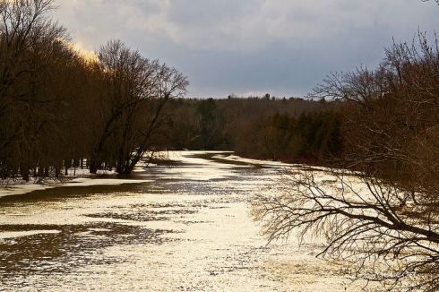 0f22e78cdd9c7663703cc3a251d355bd[2]