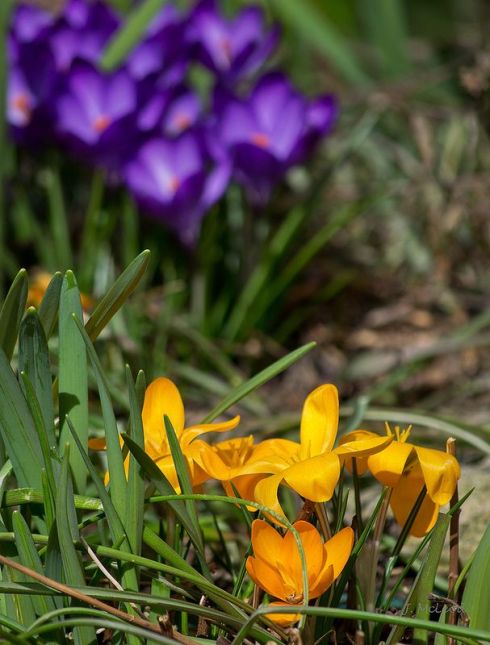 8881f00009622b43a69f1c995009b470