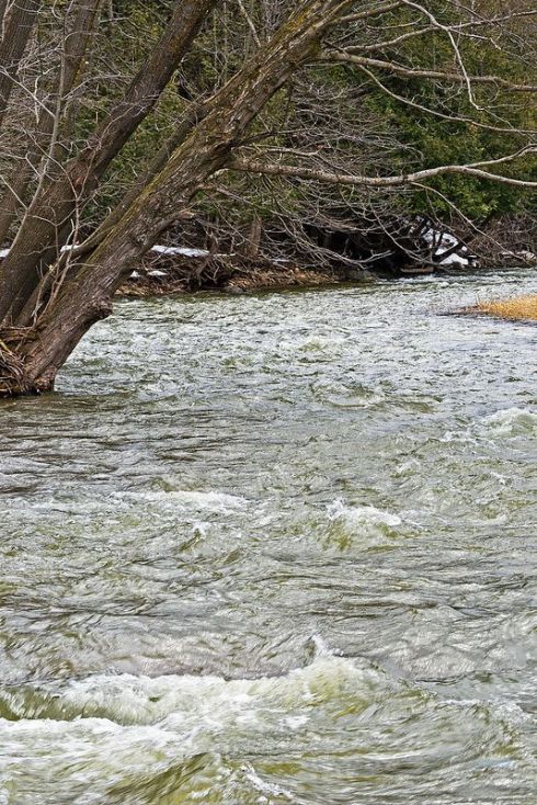 b6a03d7de7e221f6a442bcac5710abbc