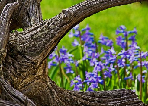 f97a54a5083ecd3d072003d04bb85467