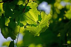 2bddfe14d63f0e787c316f243592b1e1