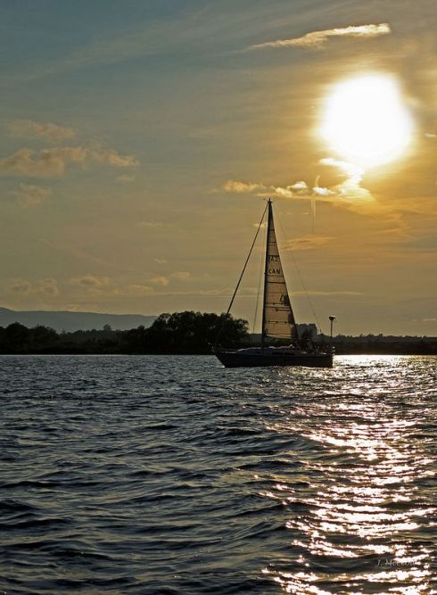 1c6dd29a3ed63fe934fd4b7026205e81