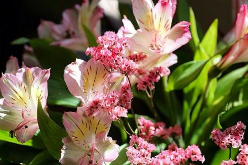 1fabfb4f301bcc2047a38f40ee371f01