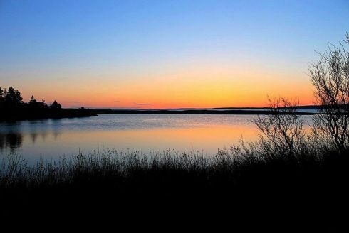 68999da81e6aea9ee28544851c3745ff