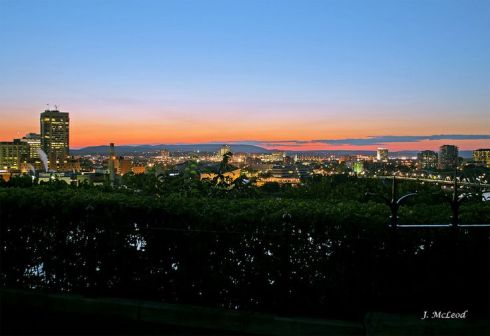 acrossthehedgeathulljm