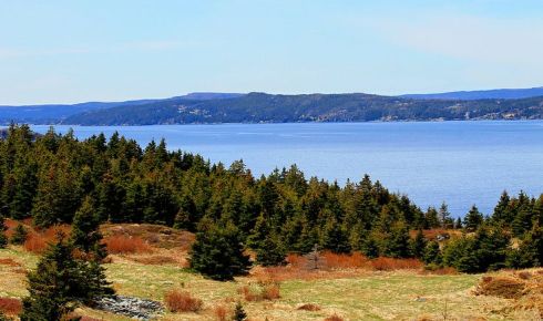 Photo by Alana R Barnes