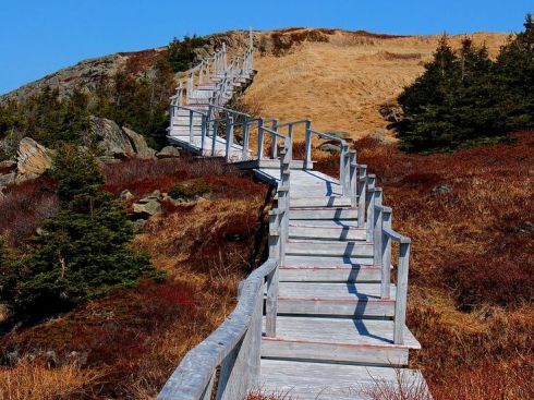 Photo by Alana R Barnes