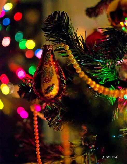 Photo by Judy McLeod