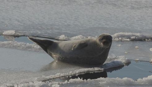 Photo by Alana R Barnes