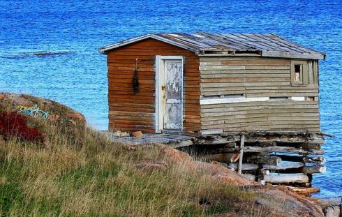 Photo by Alana R Barnes