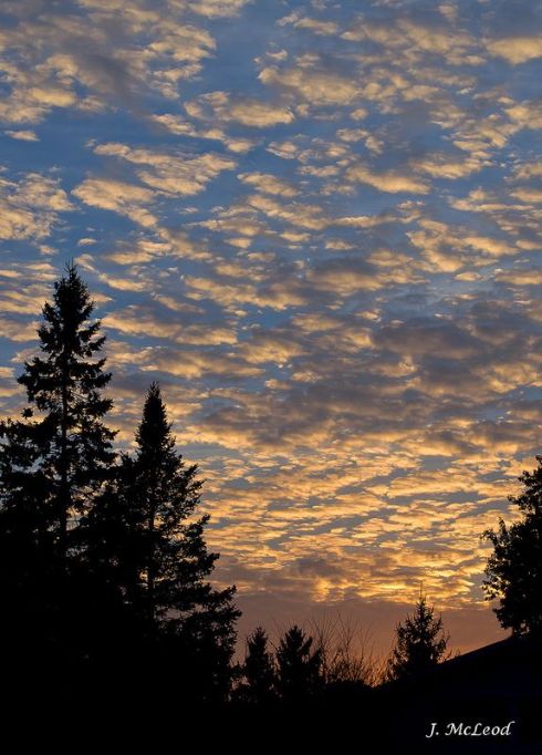 Photo by Judy McLeod