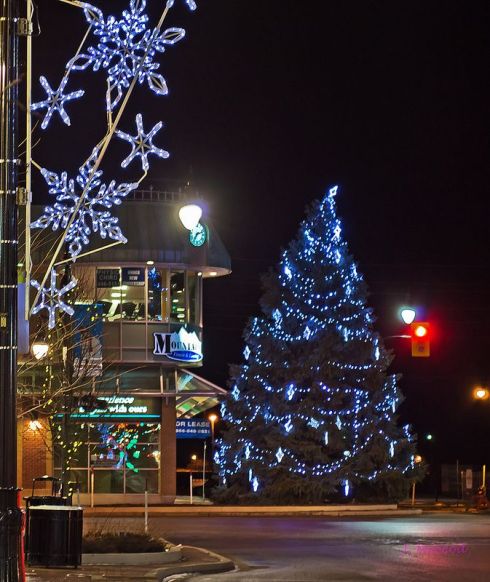 Photo by Judy McLeod