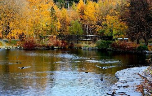 db578162fea3a910bb44e37ec499ddb8