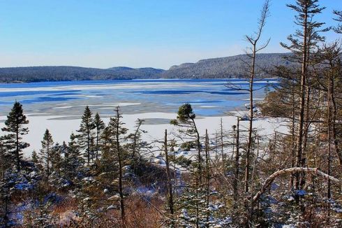 ed2c3bbdbef523e2c204fae03c88eda8