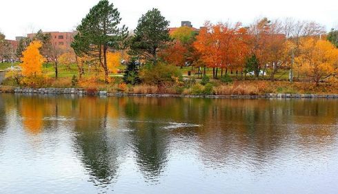 f63cae7f99f16e8602911298c84e5609