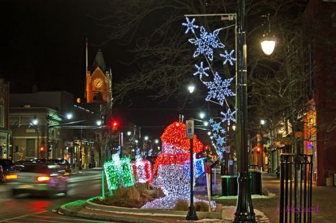 Photo by Judy McLeod