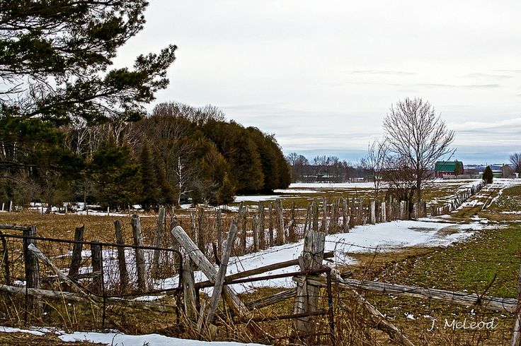 Photo by Judy McLeod