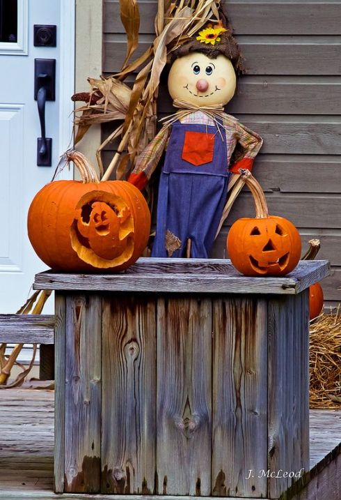 jackolaternsbyjm