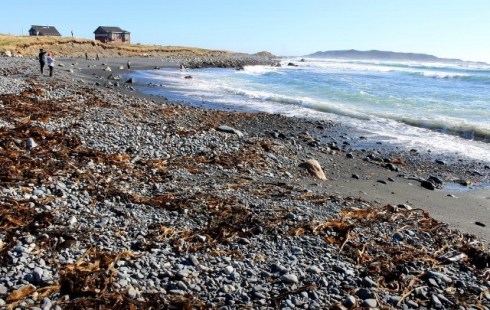 Photo By Alana  Barnes