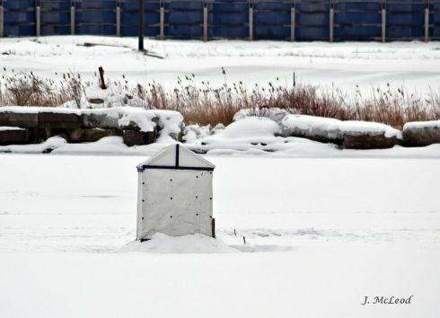 f45398d6d790fba07b1ba8d42bdae69f