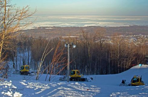 Photo by Judy McLeod