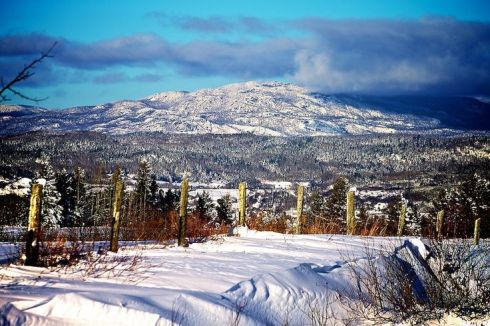 Photo by Normand Gaudreault