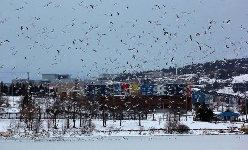 Photo by Alana R Barnes