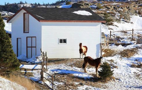 Photo by Alana R Barnes