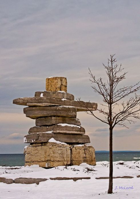 Photo by Judy McLeod