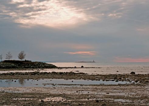 Photo by Judy McLeod