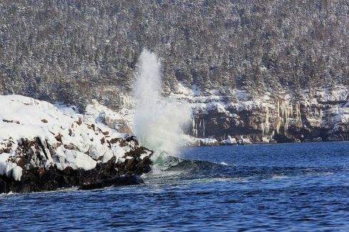 Photo by Alana R Barnes