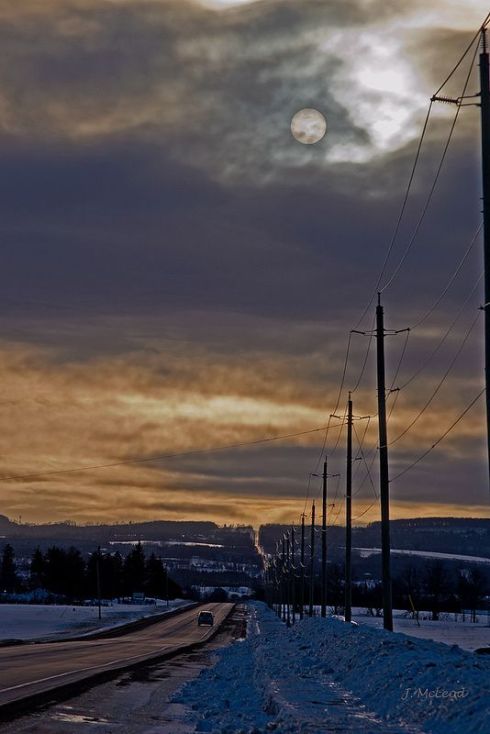 Photo by Judy McLeod