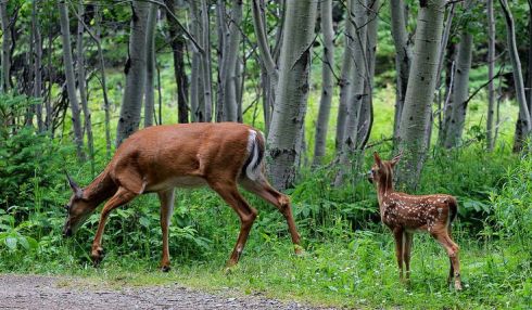 1df6ed8136fe1c6c09ffad41dfd6487f