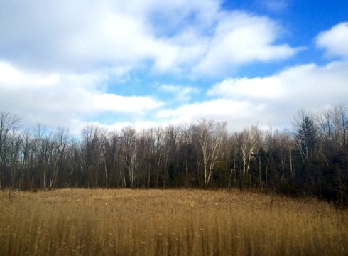 Heading North on Highway 6