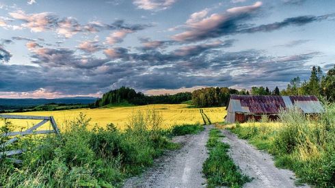 Photo by Normand Gaudreault