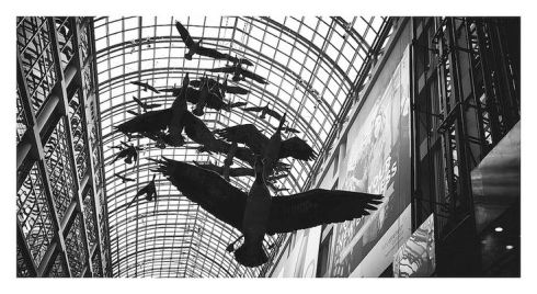 Photo by Todd(whitby61) flickr