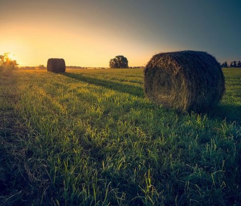 Photo by Todd (whitby61)flickr