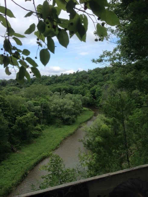 Photo by Christa Morrison