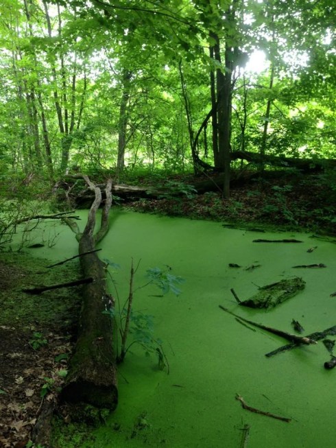 Photo by Christa Morrison