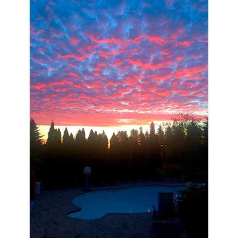 early morning in Erin