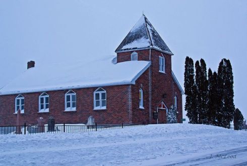 Photo by Judy McLeod