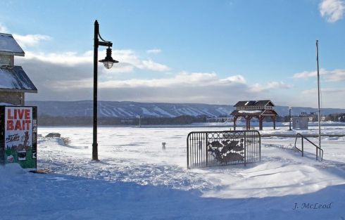 Photo by Judy McLeod