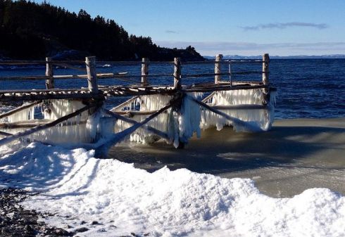 Photo by Alana R Barnes